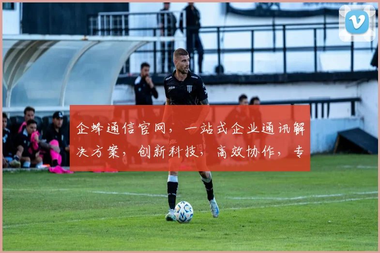 企蜂通信官网，一站式企业通讯解决方案，创新科技，高效协作，专业服务，三网融合，成就卓越