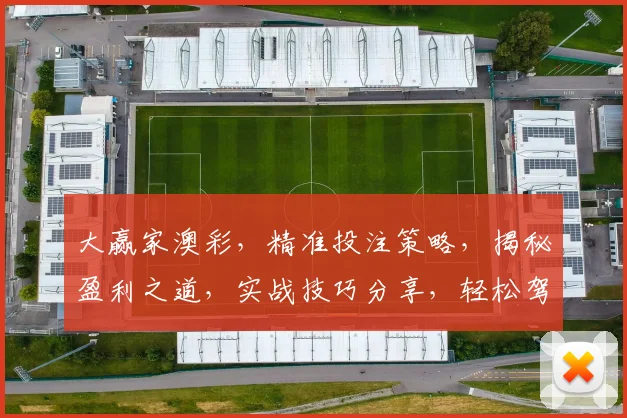 大赢家澳彩，精准投注策略，揭秘盈利之道，实战技巧分享，轻松驾驭市场