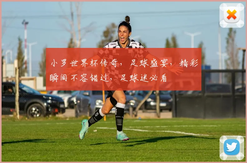 小罗世界杯传奇，足球盛宴，精彩瞬间不容错过，足球迷必看