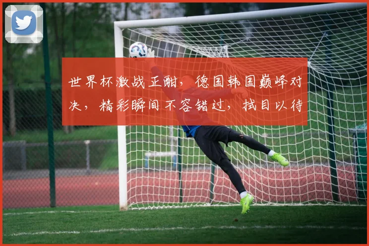 世界杯激战正酣，德国韩国巅峰对决，精彩瞬间不容错过，拭目以待