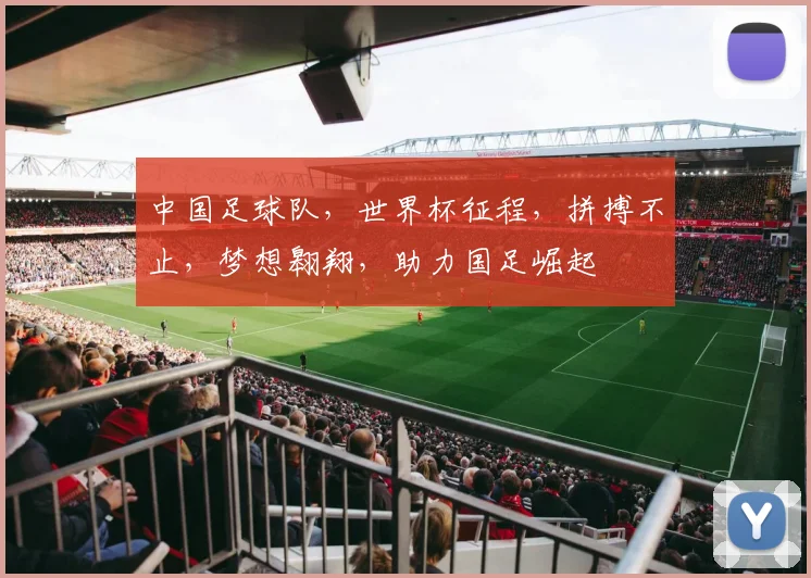 中国足球队，世界杯征程，拼搏不止，梦想翱翔，助力国足崛起