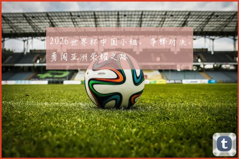 2026世界杯中国小组，争锋对决，勇闯亚洲荣耀之路