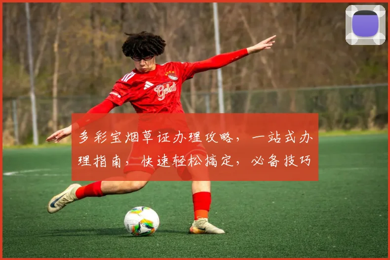 多彩宝烟草证办理攻略，一站式办理指南，快速轻松搞定，必备技巧三步走