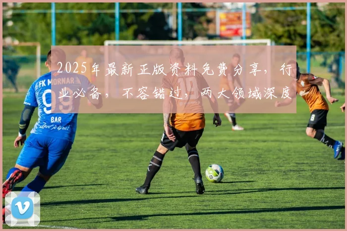 2025年最新正版资料免费分享，行业必备，不容错过，两大领域深度解析